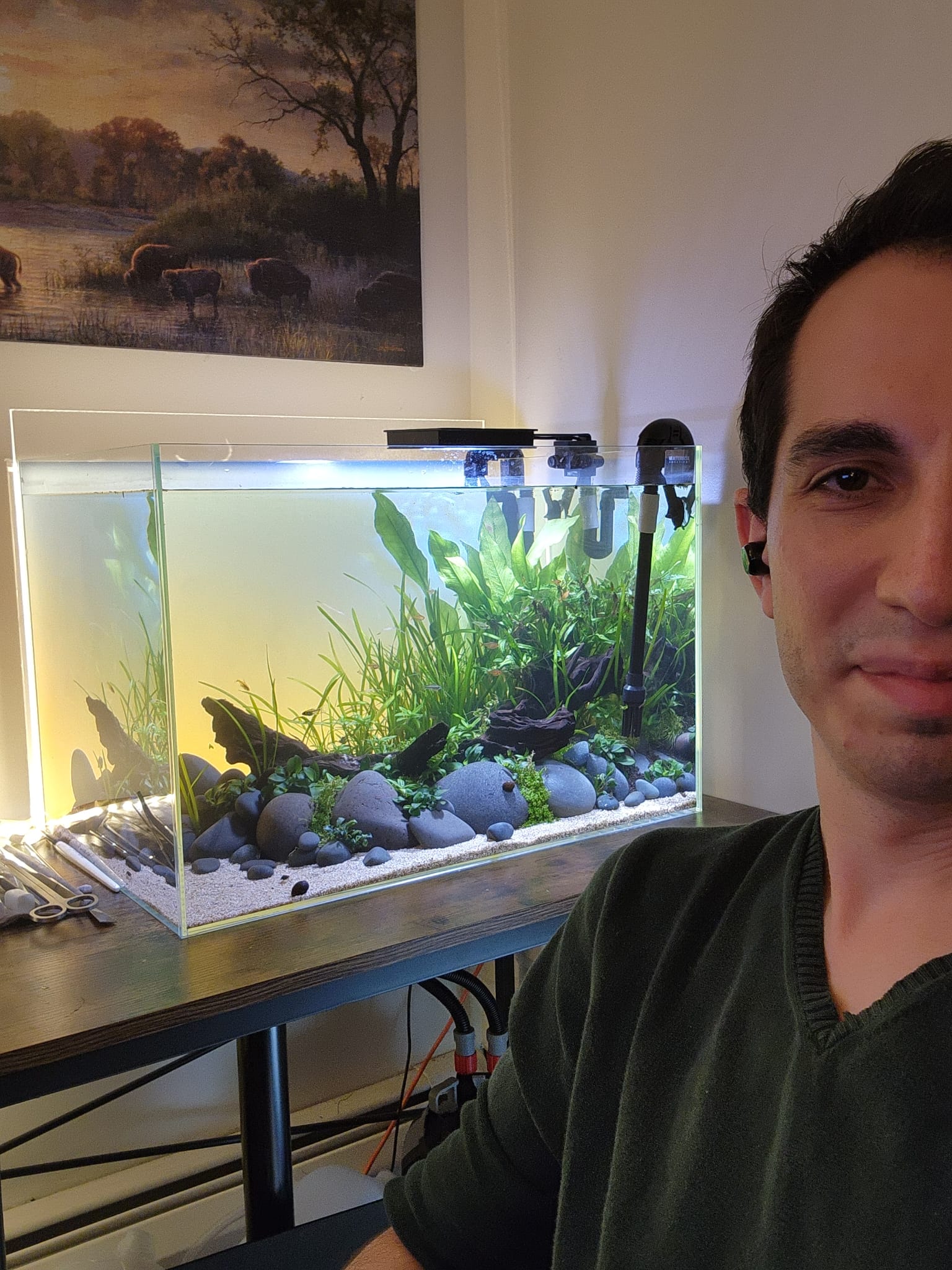 A rimless planted aquarium, with Ogetay beside it
