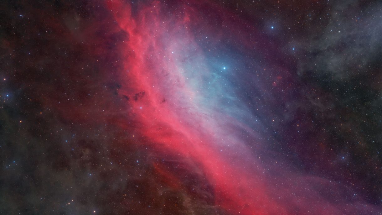 California Nebula